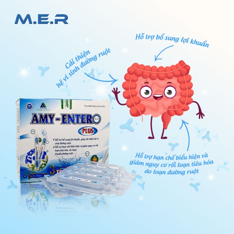 Men vi sinh dạng ống Amy Entero Plus | M.E.R COMPANY LIMITED